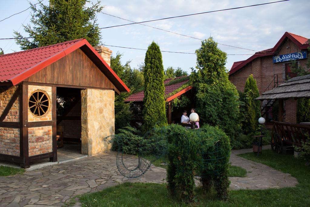 Галицька Корона Davidov Exteriör bild